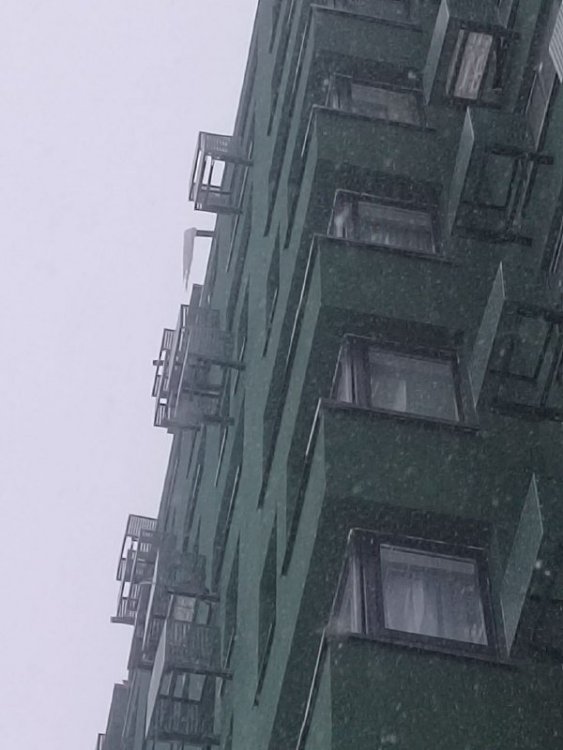 lgg0sK595v8yCdzc2IDAJ5m2dSSUOT3yi9334mNA