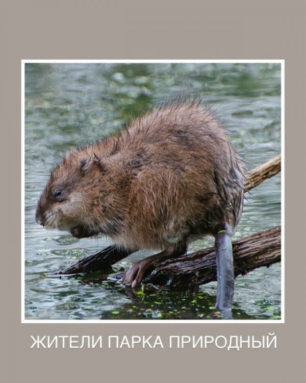 EGR0Nz5XJBp8WbcQI1zyl3R8HwFjU_YYwfl4otYc