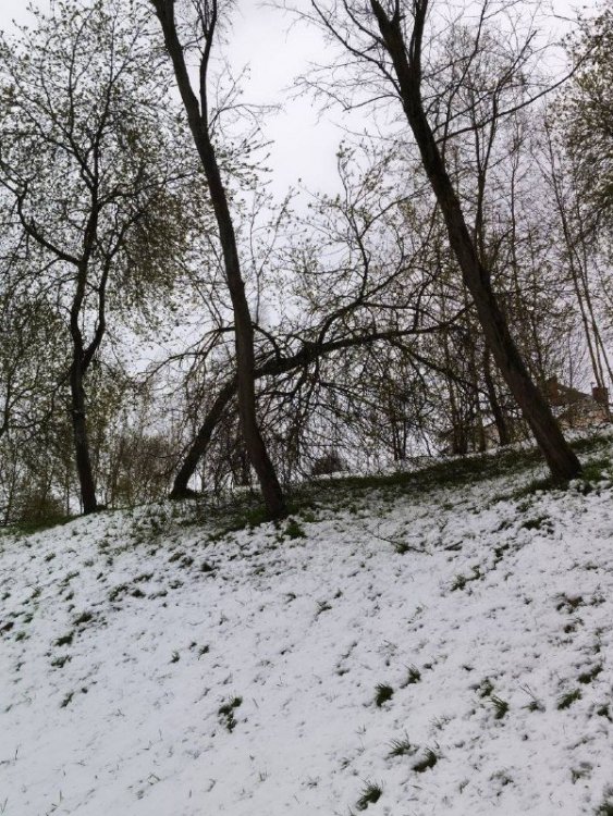 HAT3N1PY4kFCTN1Zy3fDs2QWd2wPaZVXijYHK3oB