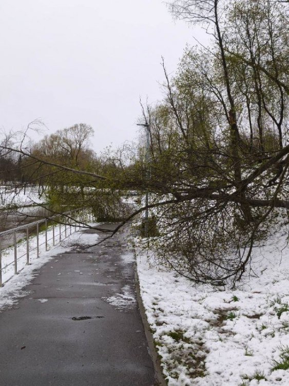 tgsgnZRVUZC84k2bGLOkmesxDlaHgbur4LBD-Bsj