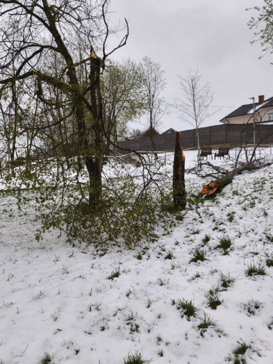 okhTc8x9E1u2EyW-AyC4dOiuYjf_NcQyAAabMQiV