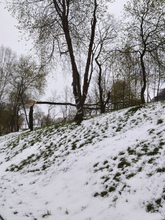 MfMtstJeNKEdL3YAjRAb9480WuE1qQBrCJ2CjB6i