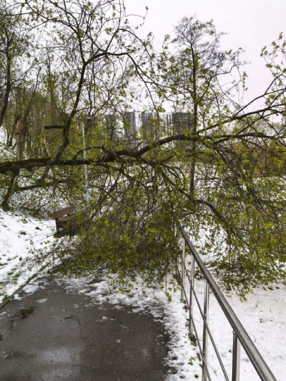 j3-DZoEfU7-pUvWLPOV-Z-r6GVWP5fKvhJJQUKNf